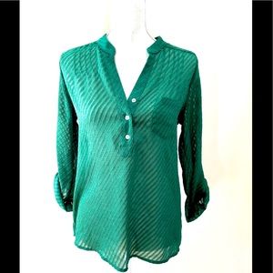 Alice Blue Stitch Fix Green sheer blouse